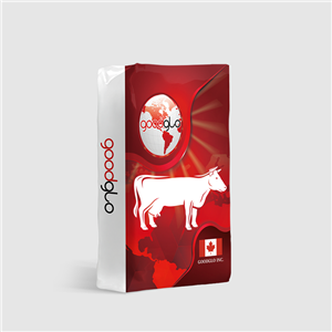 Ruminant feed